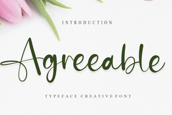 Agreeable: The Elegant Script for Modern Design