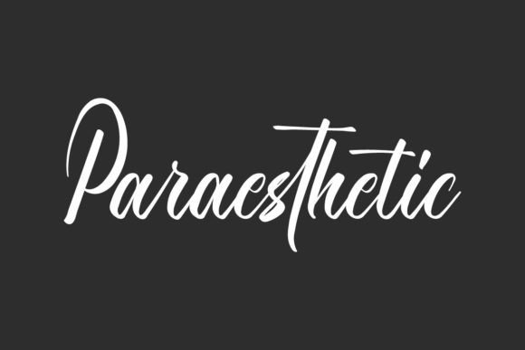Paraesthetic: A Calligraphy Script with Petal-Soft Beauty