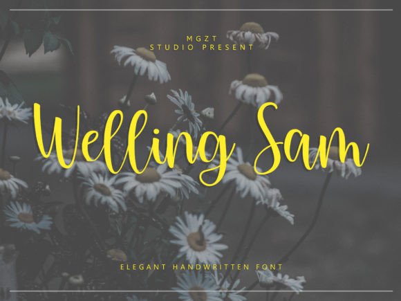 Welling Sam: Crafting Elegance with a Handwritten Script